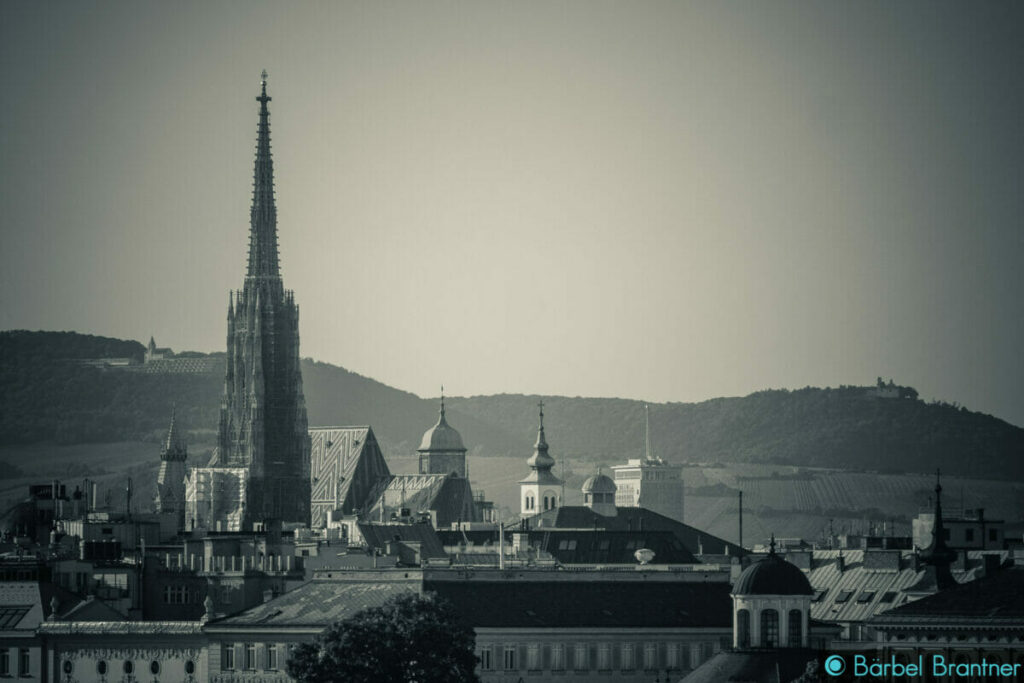 Blick auf Cobenzl, Stephansdom und Kahlenberg vom Belvedere