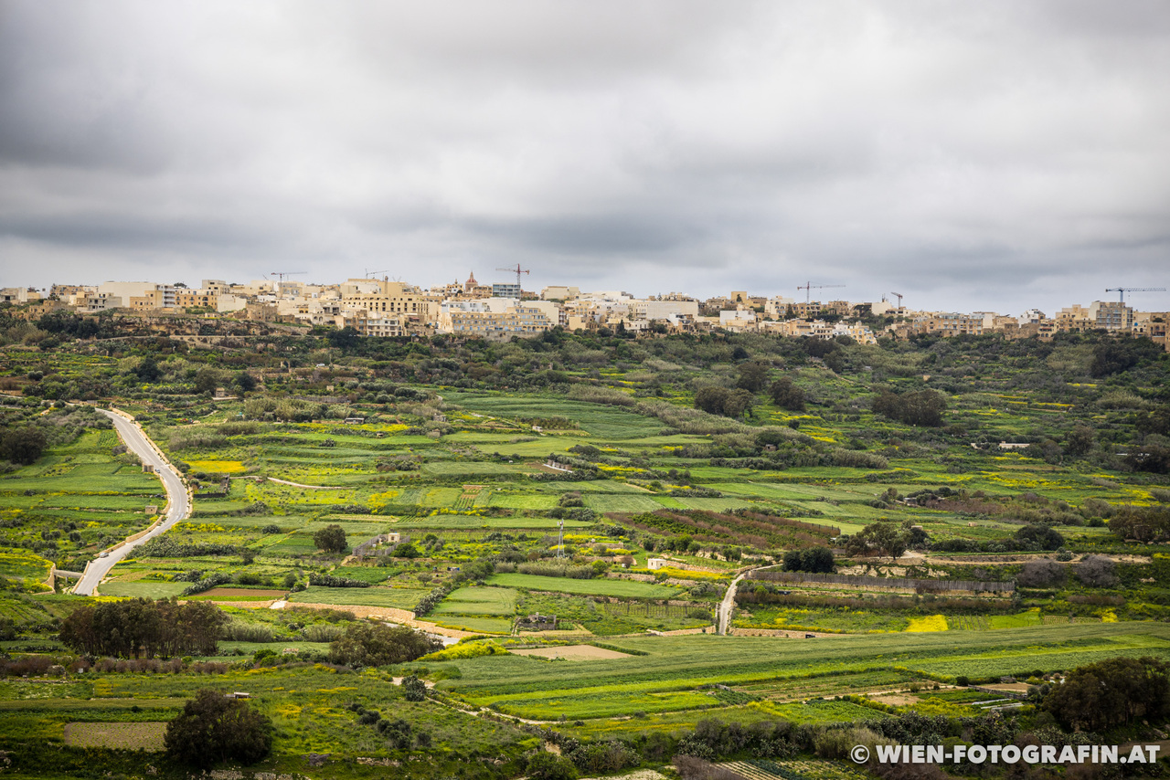 Gozo erleben – gigantische Tempel und eine Zitadelle (Malta Teil 2)